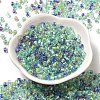 Transparent Glass Round Seed Beads X1-SEED-B001-05A-09-2