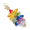 Glass Beads Pendants PALLOY-JF03013-3