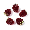 Translucent Resin Pendants RESI-N046-02-1