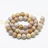 Natural Fossil Coral Beads Strands G-R446-6mm-28-2
