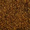 TOHO 6/0 Round Beads SEED-XTR06-2155-3