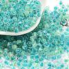 Glass Seed Beads SEED-A032-01M-1