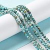 Natural HuBei Turquoise Beads Strands G-M411-A02-02-4