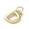 Rack Plating Brass Charms KK-P245-06G-D-2