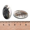 Natural Black Lip Shell Cabochons SSHEL-D084-04A-3