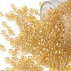 TOHO Round Seed Beads X-SEED-TR08-0103-1