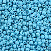 8/0 Glass Seed Beads X1-SEED-A010-3mm-43-2
