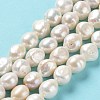 Natural Cultured Freshwater Pearl Beads Strands PEAR-Z002-04-2