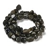 Natural Larvikite Beads Strands G-P497-01E-85-3