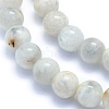 Natural Grey Moonstone Beads Strands G-I279-C01-6mm-3