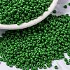 MIYUKI Round Rocailles Beads X-SEED-G008-RR0411-1