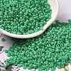 Baking Paint Glass Seed Beads SEED-P006-03A-23-1