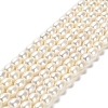 Natural Cultured Freshwater Pearl Beads Strands PEAR-E016-167-1