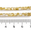 Natural Trochus Shell Beads Strands BSHE-S304-09A-4