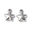 304 Stainless Steel Charms STAS-C066-19P-1