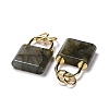 Natural Labradorite Pendants G-P453-01G-K-RS-3