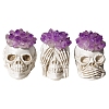 3Pcs Halloween Theme Natural Amethyst Chips Topped Skull Figurine PW-WG7246E-01-5