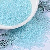 MIYUKI Round Rocailles Beads SEED-JP0008-RR0220-1