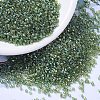 MIYUKI Delica Beads SEED-JP0008-DB1247-4