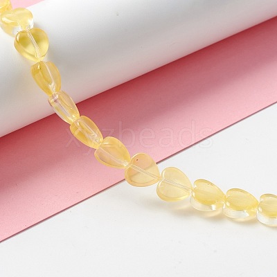 Transparent Glass Beads Strand GLAA-F112-03J-1