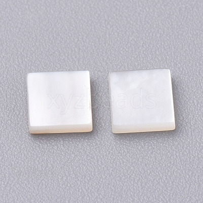 Natural White Shell Mother of Pearl Shell Cabochons SHEL-T007-27B-1