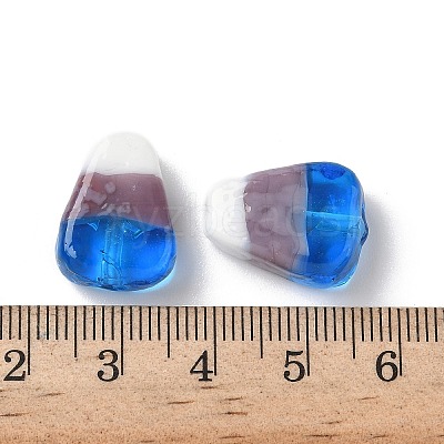 Handmade Lampwork Beads LAMP-Z014-01E-1