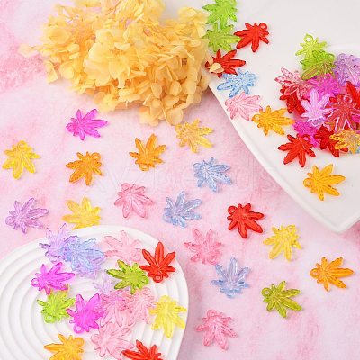 Transparent Acrylic Pendants PL711Y-1