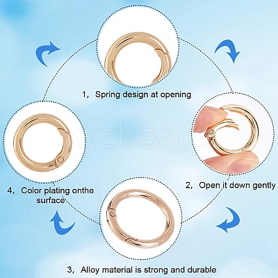 30Pcs Alloy Spring Gate Ring FIND-SP0001-48-1