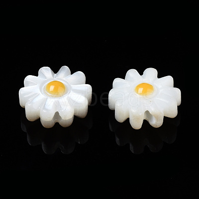 Natural Freshwater Shell Beads SHEL-N003-20B-01-1