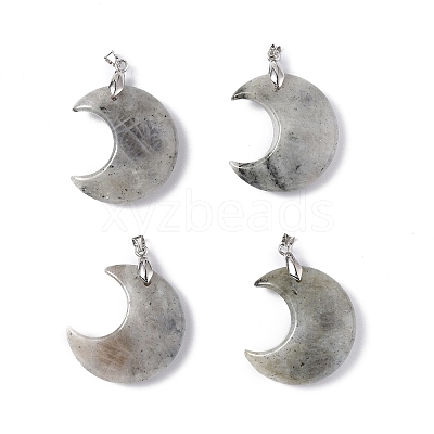 Natural Labradorite Pendants G-Z022-04L-1