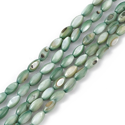 Natural Freshwater Shell Dyed Beads Strands X-SHEL-M018-13-11-1