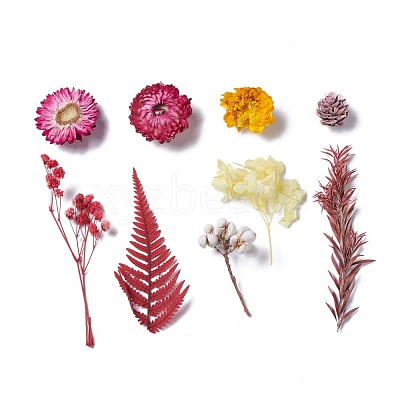 Dried Flowers DIY-D052-18-1