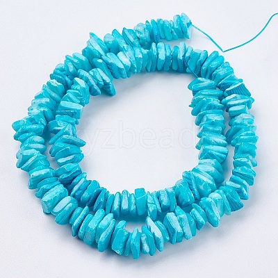 Natural Sea Shell Beads Strands BSHE-K012-08C-1