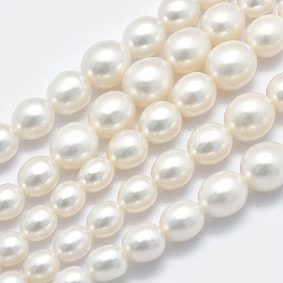 Natural Cultured Freshwater Pearl Beads Strands PEAR-K003-21C-1