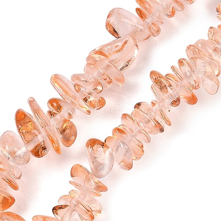 Transparent Glass Beads Strands GLAA-Z009-01L-1