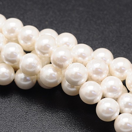 Shell Pearl Beads Strands X-BSHE-E008-14mm-12-1