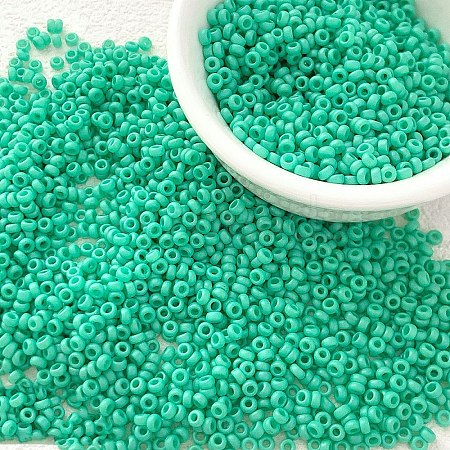 Opaque Colours Glass Seed Beads PW-WG6EF65-23-1