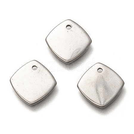 Non-Tarnish 304 Stainless Steel Charms STAS-H128-08P-1