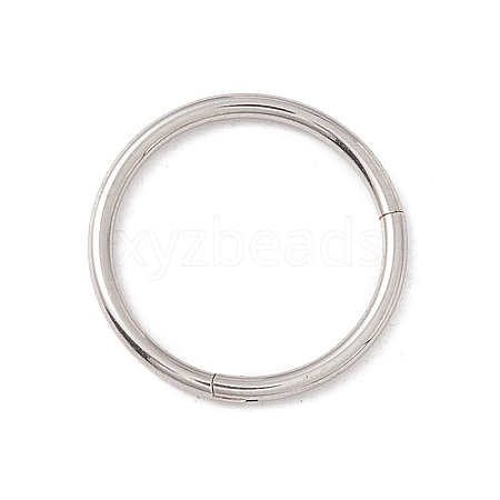 304 Stainless Steel Twister Clasps STAS-C054-03P-1