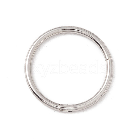 Non-Tarnish 304 Stainless Steel Twister Clasps STAS-C054-03P-1