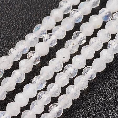 Natural Rainbow Moonstone Bead Strand G-G680-53-1