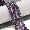 Natural Amethyst Beads Strands G-P544-E07-01-2