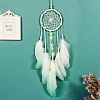 Woven Net/Web with Feather Pendant Decoration PW-WGD396E-01-2