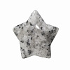 Natural Sesame Jasper Home Display Decorations G-PW0007-124E-1