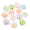 Luminous Transparent Epoxy Resin Decoden Cabochons CRES-M032-04C-1