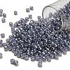TOHO 6/0 Round Beads X-SEED-TR06-0455-1