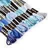 6-Ply Polyester Embroidery Floss OCOR-FZ0001-01P-2