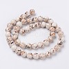 Sea Shell and Synthetic Turquoise Assembled Beads Strands X-G-G758-08-8mm-2