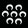 Natural White Shell Beads SSHEL-N034-122B-03-3