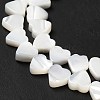 Natural Trochid Shell/Trochus Shell Beads Strands BSHE-E026-19-4